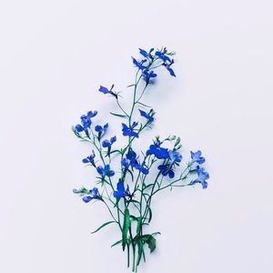 Meet your Posher, Elise